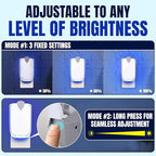 10-Pack Refill Cartridges for Fruit Fly Trap Indoors - Strong Adhesive to Capture Fruit Flies, Gnats, Houseflies, Moths, and Flying Insects