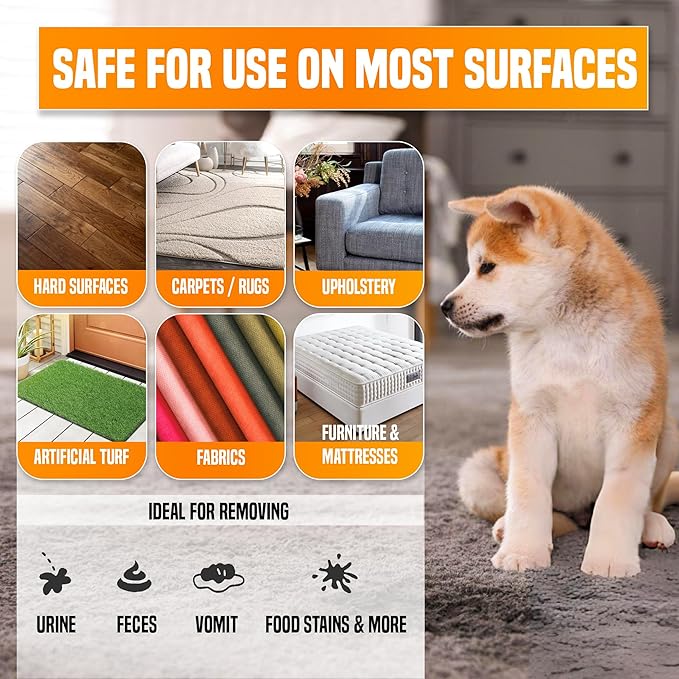 PNG Vitality Stain & Odor Eliminator – 16.9oz Pet Odor Neutralizer for Home, Carpets, Upholstery, Effective on Urine, Vomit, Feces Cat & Dog Urine Destroyer, Carpet Cleaner Spray for Lasting Freshness