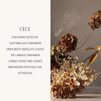 Homecourt Dish Soap, Dishwashing Liquid with Clean Ingredients, Non-Toxic & Skin-Safe, Safe for People & Pets, Cece, 16 oz