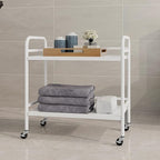 HDANI 2 Tier Under Desk Printer Stand with Storage,Microwave Storage Rack,Metal Rolling Printer Cart with Wheels for Home Office,Utility Storage Cart and Stand,White