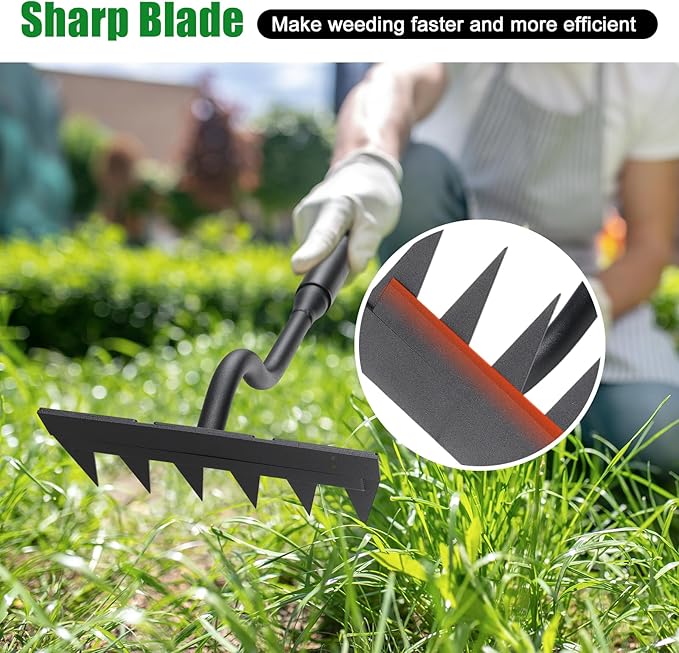 Weed Puller Tool, Garden Weeding Rake Tools with Detachable Long Handle, 56 inch Weed Remover Gardening Hand Tool for Lawn, Yard, atio and Backyard (6 Tines)