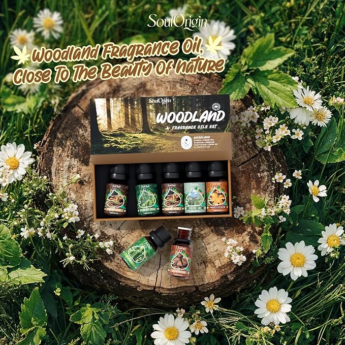 Woodland Fragrance Oils Set, Essential Oil Gift Set for Diffuser, Woody Scent Diffuser Oil, Diffuser Scents Oil for Home - Forest Pine, Teak, Bamboo, Fresh Soil, Fallen Leaves, Fresh Air
