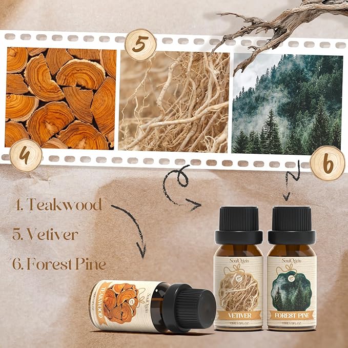 Woody Essential Oils Set, Fragrance Oil Set for Diffuser, Scent Diffuser Oil for Candle Making- Sandalwood, Cedar, Bamboo, Teak, Vetiver, Forest Pine
