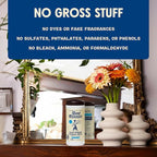 Aunt Fannie's Glass & Window Cleaning Wipes, Natural Streak-Free Glass Cleaner, 35 Count (Pack of 1)