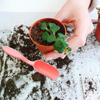 10 Pcs Mini Gardening Shovel Spoons Plastic Cultivation Tools Soil Scoops Digging Transplanting Gardening Spade Hand Trowel Rake for Potted Flowers Succulents Loose Tea-Leaf Scoops, Multiple Colors