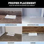 Catchmaster Freeze Resistant Glue Traps 6PK Mouse Traps Indoor for Home, Pest Control Adhesive Tray, Catch Bugs, Crickets, Spiders & Rats, Glue Boards for Cold Weather, House, Shed & Garage