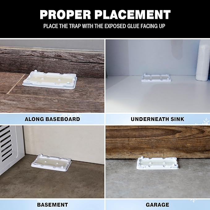 Catchmaster Freeze Resistant Glue Traps 6PK Mouse Traps Indoor for Home, Pest Control Adhesive Tray, Catch Bugs, Crickets, Spiders & Rats, Glue Boards for Cold Weather, House, Shed & Garage