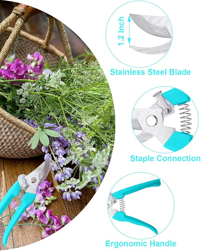 Pruning Shears for Gardening, 4 Pack Garden Scissors for Cutting Fresh Flowers, Floral Clippers for Plants, Fruits (Blue)