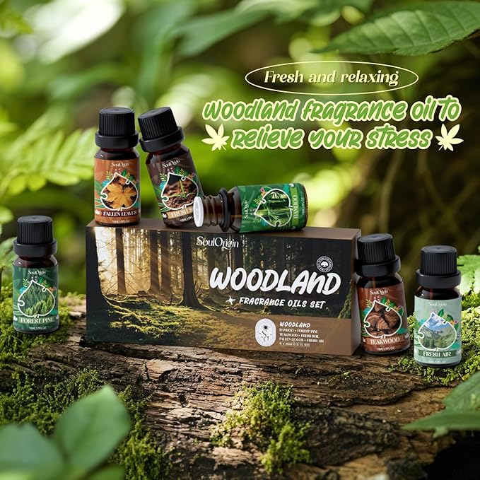 Woodland Fragrance Oils Set, Essential Oil Gift Set for Diffuser, Woody Scent Diffuser Oil, Diffuser Scents Oil for Home - Forest Pine, Teak, Bamboo, Fresh Soil, Fallen Leaves, Fresh Air