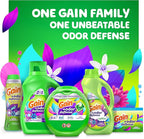 Gain Liquid Fabric Softener, Super Fresh Blast | 140 oz | 190 Loads | HE Compatible | Pack of 2