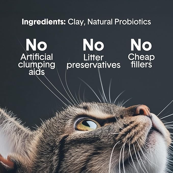 Boxie Probiotic Cat Litter, 30 Day Odor Control, Clumping Clay Kitty Litter, Odor Eliminating Probiotics, Dust-Free, No Fragrances No Fillers, 40 lb