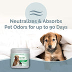 SMELLS BEGONE Air Freshener Odor Absorber Gel - 15 oz, Pack of 2 - Absorbs and Eliminates Odor in Pet Areas, Bathrooms, Cars, & Boats - Made with Essential Oils - Calming Rain Scent