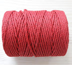 4mm x 200 Feet Red Jute Rope, Twine for Gardening Tomato Climbing Plant Tie Floristry Crafts Gift Wrapping Packing Decor