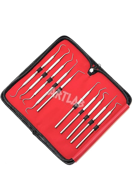 Premium Set of 12 Stainless Steel Precision Micro Probe Set Combo-Straight, Single, Short Double, Long Double, Triple and Hook Tips -Pick Tool Set 5.5"(14CM) (Set of 10 Each)