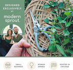 Modern Sprout Pruning Shears - Herb Snipping Scissors- Lightweight Gardening Tools W/Easy Lock - Flower Cutter Garden Shears - Carbon Steel Blade + Reusable Holster (Lavender, 1-Pack)