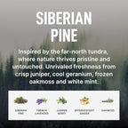 Laundry Sauce - Laundry Fabric Softener (Siberian Pine) Luxury Fragrance, Softens & Preserves Fabric, Reduces Wrinkles, 19 Fl Oz