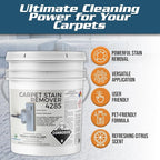 Heavy Duty Carpet Stain Remover 4285 - Easy Clean and Professional Carpet Cleaner Products - Residential & Commercial Multi-Purpose Spot, Stain Pretreater & Precleaner - 1 Gallon Pail