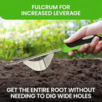 Garden Guru Dandelion Weeder Tool with Fulcrum - Rust Resistant Stainless Steel Weed Puller Weed Puller with Leverage Base, V-Shaped Fork Tip & Ergonomic Handle - for Planting & Weeding (4 Pack)