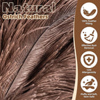 2 Pack Ostrich Feather Dusters with Wooden Handle, 13.5 inch Natural Fluffy Feather Dusters for Dusting Home, Car, Delicate Surfaces, Reusable Soft Cleaning Tools for Ledges, Blinds