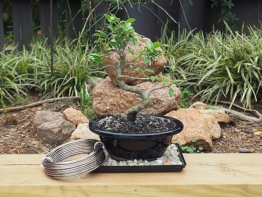 Anodized Aluminum 4.0mm Bonsai Training Wire 250g Large Roll (23 feet) - Choose Your Size and Color (4.0mm, Brown)