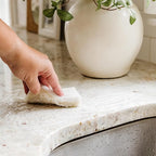 Full Circle Coconut Scrubber Sponges, Pack of 6 – Dual-Sided, Plant-Based Sponges Made with Coconut Shells, Cellulose & Recycled Materials, Safe for Nonstick Cookware