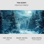 Lapew Frosted Forest Scented Mop Soap - Luxury Floor Cleaner Concentrate for Mopping Tile, Laminate, Vinyl & Hardwood | Streak-Free, Low-Foam | 36 oz
