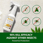 Bed Bug Spray 16 Oz, Carpet Beetle Killer, Indoor & Outdoor Bug Control for Bug Egg, Mite, Ant, Spider and Flea, Plant Extract Based Non Toxic Bed Bug Killer, Child & Pet Safe