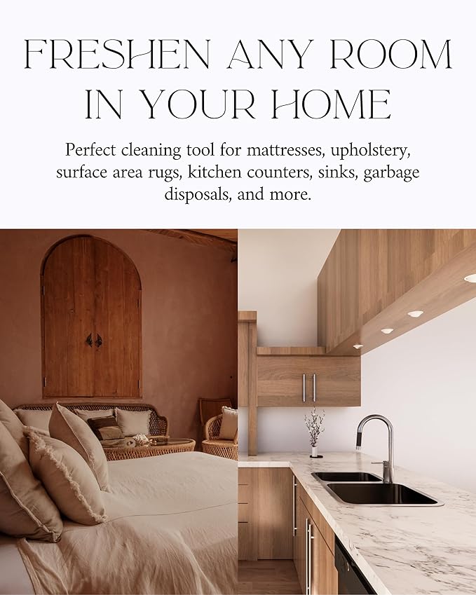 Home "Noir Luxe" Carpet Deodorizer Powder For Home, Upholstery, Pet Urine,Dog Bed/Cat Litter Box– Eliminates Odors Naturally, Pet-Friendly- Black Plum, Sea Salt, and Ozone