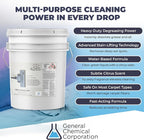 Heavy Duty Carpet Stain Remover CD 4285 - Carpet's Multi-Purpose and Powerful Liquid Solution, Though Cleaning Formula For Homeowners, Pet-owners, Offices and Many More - 5 Gallon Pail