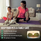 ASPECTEK Sticky Dome Flea Trap, Odorless Glue Trap with 2 Sticky Discs, Effective Bed Bug Killer and Flea and Tick Treatment, Indoor Insect Trap for Bugs, 2 Packs in White and Light Gray
