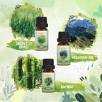 Nature Fragrance Oils Set, Essential Oil Gift Set for Diffuser, Natural Scent Diffuser Oil for Candle Making-Fresh Cut Grass, Mountain Air, Bamboo, Ocean Breeze, Fresh Lotus Leaf, White Tea