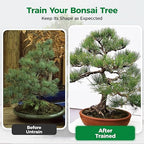 189FT Easy to Bend Bonsai Wire, Aluminum Bonsai Tree Wire in 5 size -1mm,1.5mm,2mm,2.5mm,3mm with Cutter set for Training Thin or Thick Branches