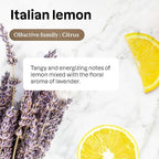 ATTITUDE Dish Soap, EWG Verified, Plant-Based & Vegan Dishwashing Liquid, Naturally Derived, Italian Lemon Scent, 24 Fl Oz