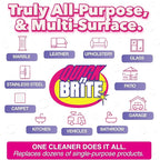 Quick 'n Brite All Purpose Cleaning Paste, True All Purpose Cleaner, Concentrated, 12 oz