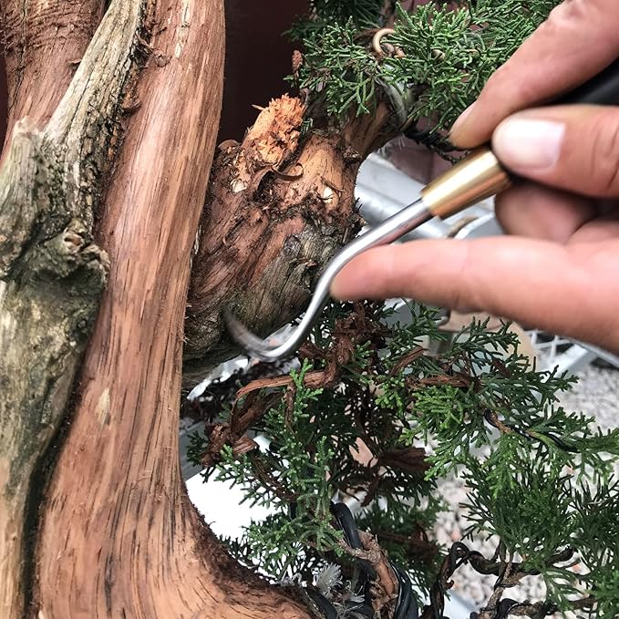 5-Piece Bonsai Scraper Bonsai Tool Set