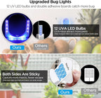Indoor Fruit Fly & Gnat Traps Plug-in - UV/Blue Light Insect Trap with 2 Devices+6 Refills, Safe & Odorless Flying Insect Catcher for House/Kitchen/Office - Get Rid of Mosquitoes, Moths, Gnats