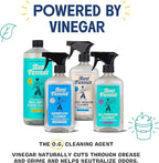 Aunt Fannie's Toy and Highchair Cleaner, Hypoallergenic, Multi-Purpose Spray Powered by Vinegar for Toys, High Chairs, Car Seats, Swings, Counters, and Other Hard Surfaces Fragrance Free, Pack of 6