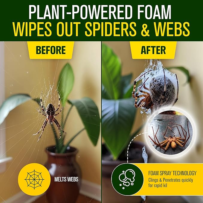 Green Guard Pest Control Spray - Indoor & Outdoor Killer of Ants, Roaches, Spiders & Other Crawling Insects, Safe Around Children & Pets, Plant-Based, Pleasant Scent (Lemongrass Blast, 32 oz)