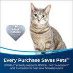 Bissell Pet Stain & Odor Remover + Sanitize Formula, 22 oz, 2 Pack, 11299