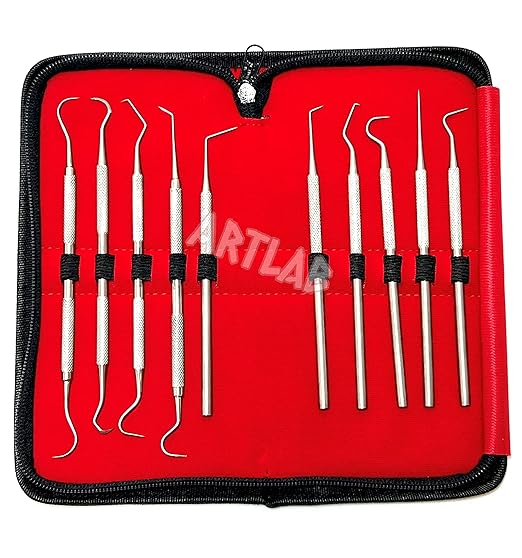 Premium Set of 12 Stainless Steel Precision Micro Probe Set Combo-Straight, Single, Short Double, Long Double, Triple and Hook Tips -Pick Tool Set 5.5"(14CM) (Set of 10 Each)