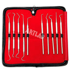 Premium Set of 12 Stainless Steel Precision Micro Probe Set Combo-Straight, Single, Short Double, Long Double, Triple and Hook Tips -Pick Tool Set 5.5"(14CM) (Set of 10 Each)