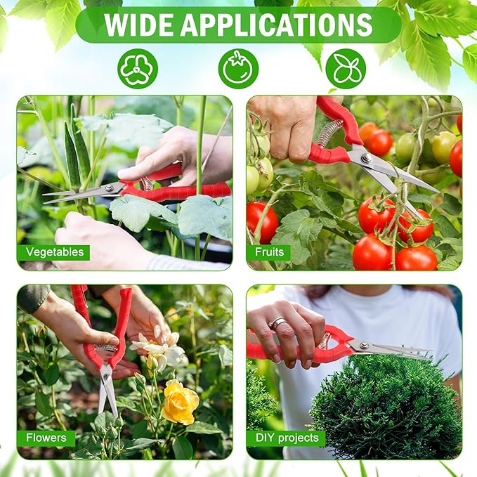 Lasnten 12 Pcs Pruning Shears Needle Nose Pruner Bulk Pruning Snips with Straight 8.3" Extra Long Edge Stainless Steel Sharp Blades Hand Garden Scissors Tool Trimming plants Fruit Trees Bonsai