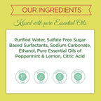 Rebel Green Sparkling Glass Cleaner - Streak Free Glass Cleaner Spray - Natural Glass & Surface Spray for Windows, Mirrors, & More - Scented with Peppermint & Lemon - (32 Ounce Bottles, 4 Pack)