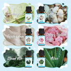 SALKING Clean Fragrance Oils Set, 12 x 10ml Premium Essential Oils Set for Diffuser, Natural Clean Scents Scented Oils, Soap & Candle Making Scents, Aromatherapy Oils Collection