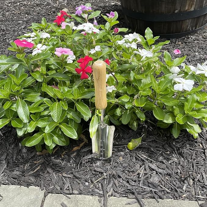 Garden Guru Eco Transplanter Trowel Shovel- 100% Recycled Stainless Steel - Rust Resistant - FSC Certified Wood Ergonomic Handle - Perfect Tool for Gardening Weeding Transplanting (4 Pack)