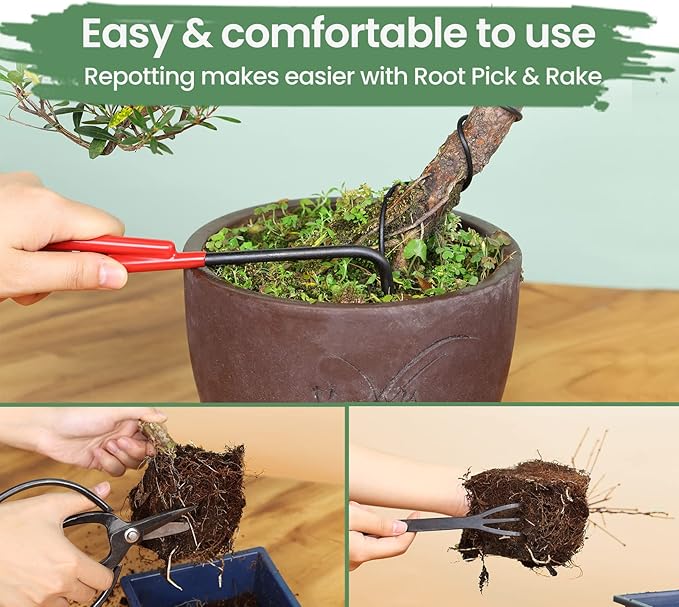 Bonsai Tools Set with Wood Box 12PCS Heavy Duty Bonsai Tree Kit, Trimming Scissor Shears, Concave Cutter, Wire Rolls, Wire Cutter and More, Gardening Pruning & Care Kit