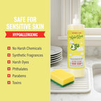 Rebel Green Super Deluxe Dish Soap - Plant-Based Sustainable Dishwashing Soap - Peppermint & Lemon Scent - 16 fl oz - 2 Pack