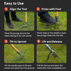 4-Claw Stand Up Weed Puller Tool with Long Handle - Adjustable 30"- 44" Heavy Duty Metal Head Weeder Tool with American Ashwood Handle, Easy Gardening Weed Removal, No Bending or Kneeling