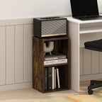 Furinno Pasir 2-Tier Open Shelf Bookcase, Bookshelf, Amber Pine
