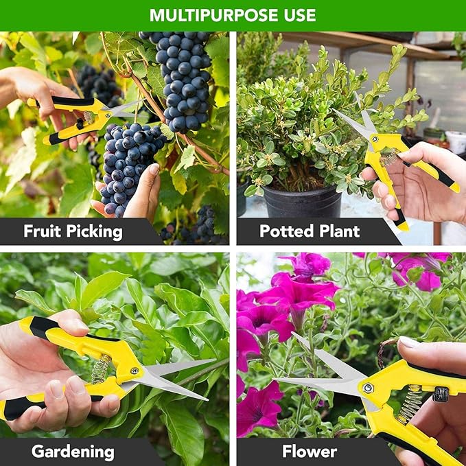 iPower 6.5 Inch Gardening Hand Pruner Pruning Shears Trimming Scissors with Straight Stainless Steel Blades for Bonsai, Herb, Bud, Hedge, 16-Pack, Yellow